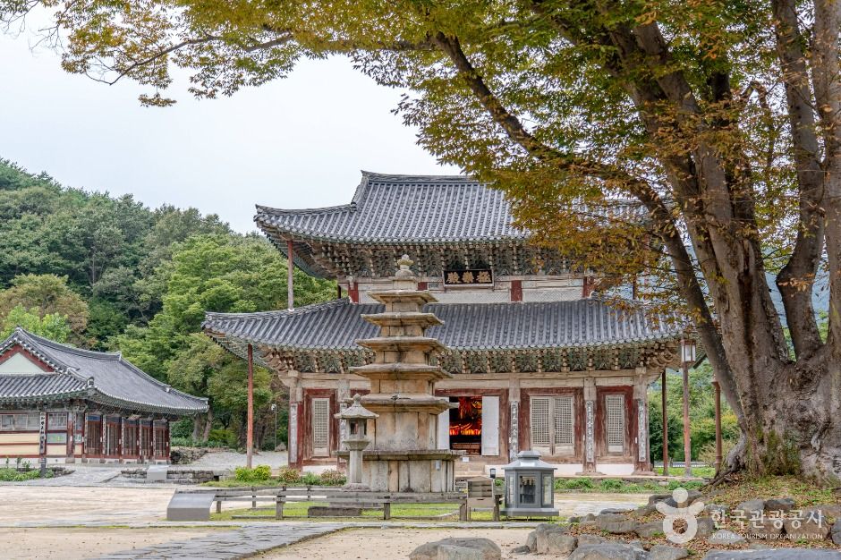 무량사 — 부여 외산·무량사·홍산