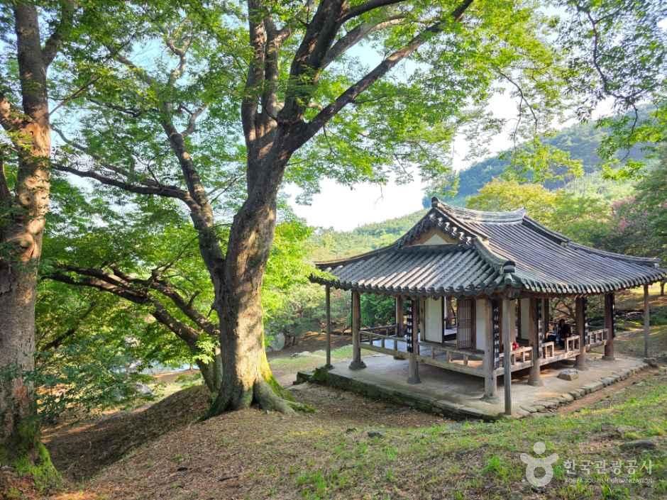 명옥헌 원림 — 담양 명옥헌·송강정·면앙정