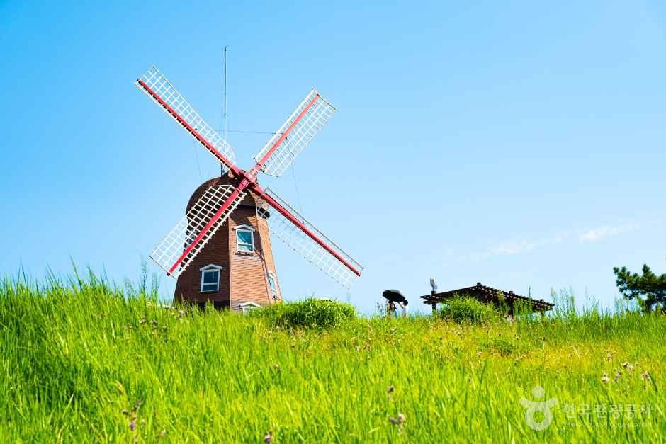 바람의 언덕 — 거제 학동·해금강·남부