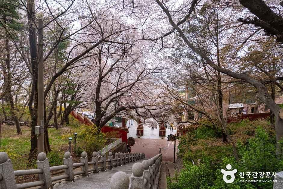 자유공원 — 인천 개항장·월미도