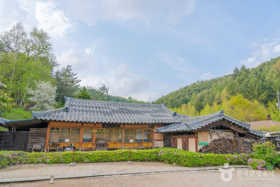효석문화마을 — 평창 봉평·흥정