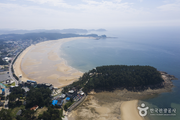 만리포해수욕장 — 태안 만리포·천리포·신두리