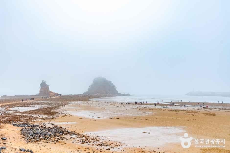 꽃지해수욕장 — 태안 꽃지·영목항