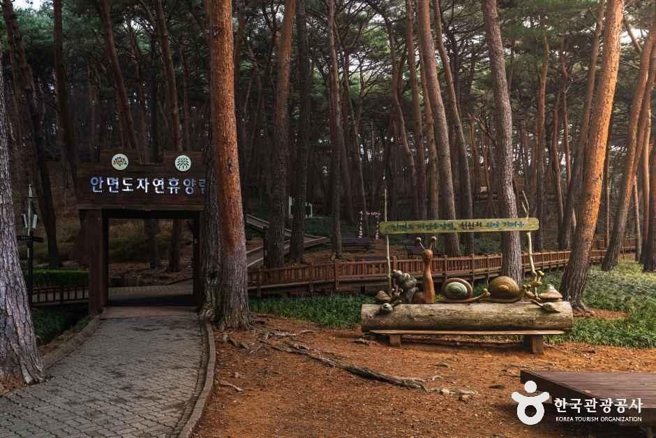 안면도자연휴양림 — 태안 꽃지·영목항