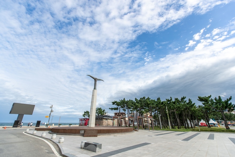낙산해수욕장 — 양양 낙산·물치